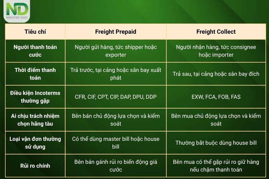So sánh phân biệt Freight prepaid và Freight collect